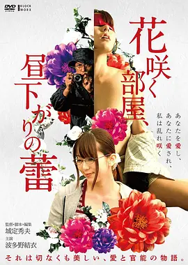 花样年华片目档案封面